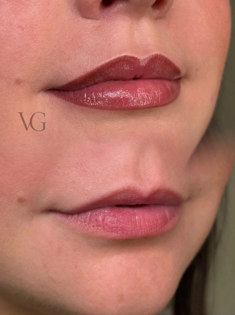 Lippen Vollschattierung (frisch pigmentiert)